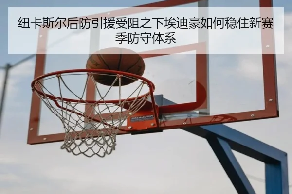纽卡斯尔后防引援受阻之下埃迪豪如何稳住新赛季防守体系