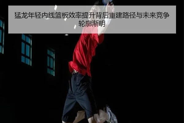 猛龙年轻内线篮板效率提升背后重建路径与未来竞争轮廓渐明